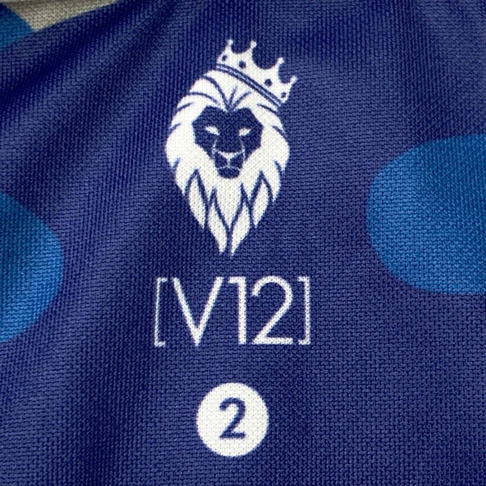 サイズ：2 V12 ヴィトゥエルヴ 半袖ポロシャツ カモフラ柄 ネイビー系