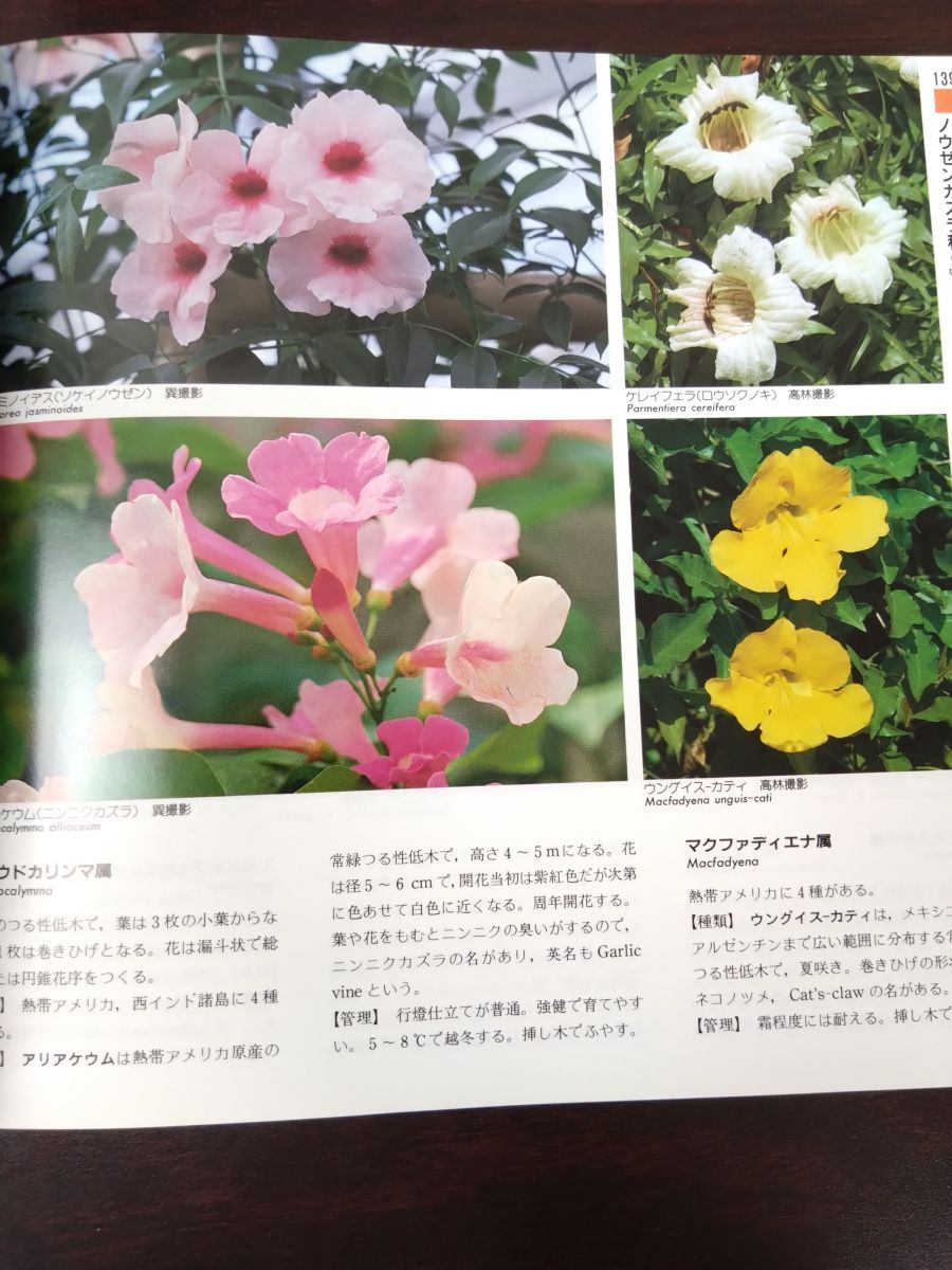 山渓カラー名鑑 3冊セット【日本の野草／観葉植物／日本の樹木】 山と