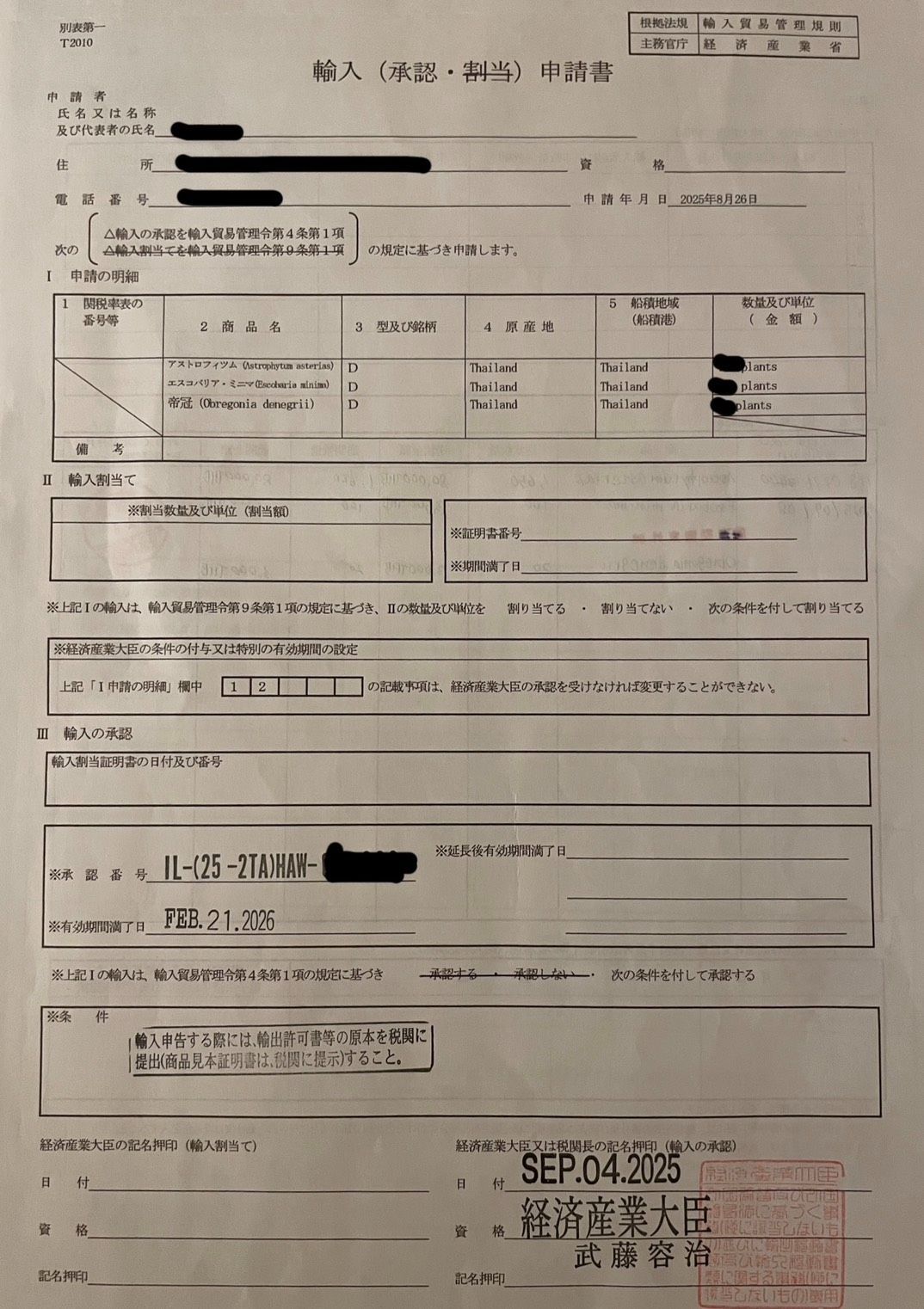 A5151大特価！10株セット！スーパー兜 - メルカリ