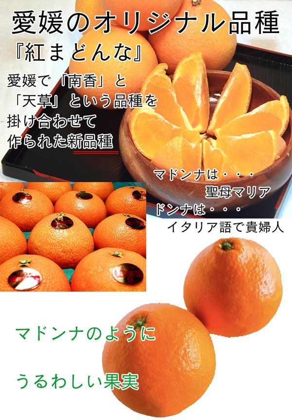 紅まどんな 3kg 12個入 秀品 みかん 贈答用 愛媛県産 JAの正規品(愛果 