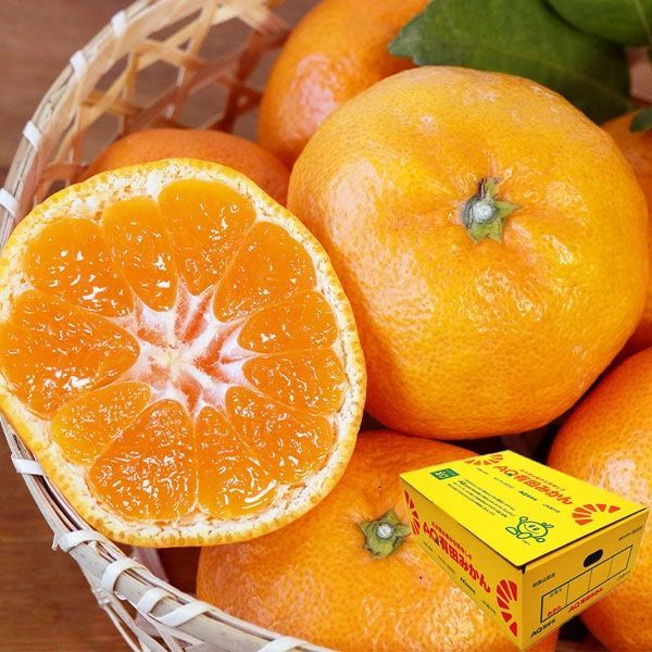 49)甘いと言ってしまう　小玉 有田みかん　和歌山県有田産　みかん　果物 有田みかん 秀品 Sサイズ 小玉 10kg 甘い蜜柑 AQ 和歌山産 贈答用(AQ選