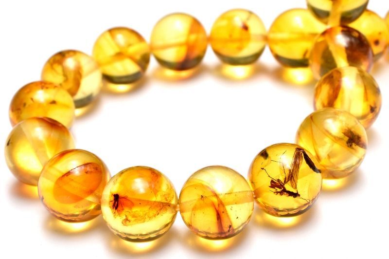 １点物 全粒内包 入荷 虫入り琥珀アンバー 9.5 mm ブレスレット パワーストーン 天然石 _MC 2475