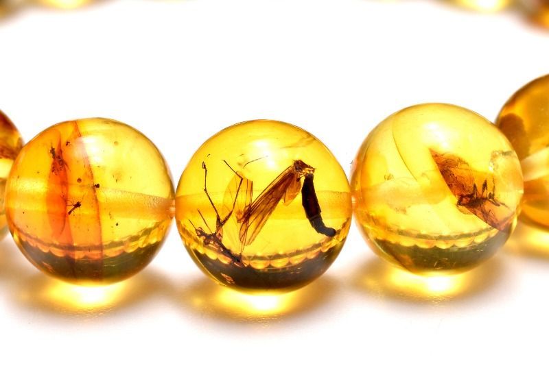 １点物 全粒内包 入荷 虫入り琥珀アンバー 9.5 mm ブレスレット パワーストーン 天然石 _MC 2475