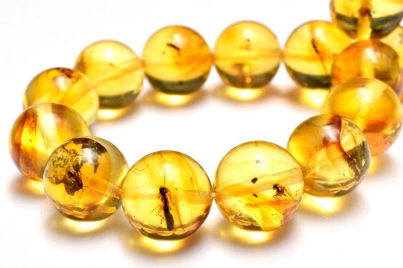 １点物 全粒内包 入荷 虫入り琥珀アンバー 10 mm ブレスレット パワーストーン 天然石 _MC 2477