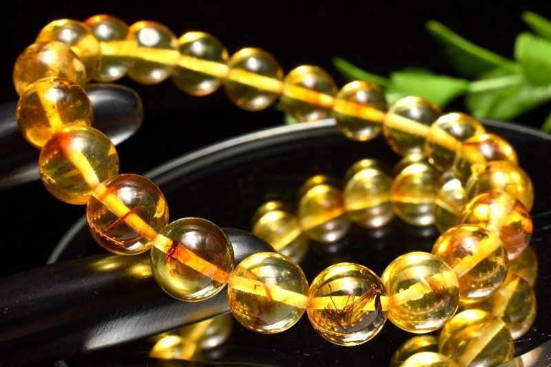 入荷 虫入り琥珀アンバー