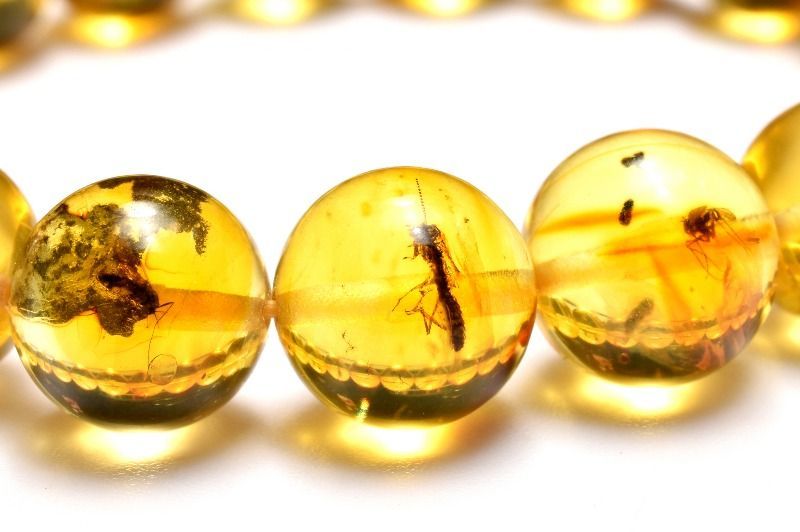 １点物 全粒内包 入荷 虫入り琥珀アンバー 10 mm ブレスレット パワーストーン 天然石 _MC 2477