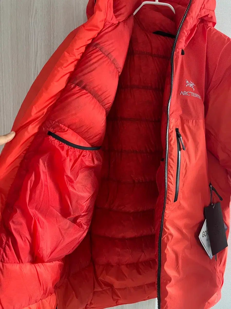 ARC TERYX アルファ パーカ メンズ Large