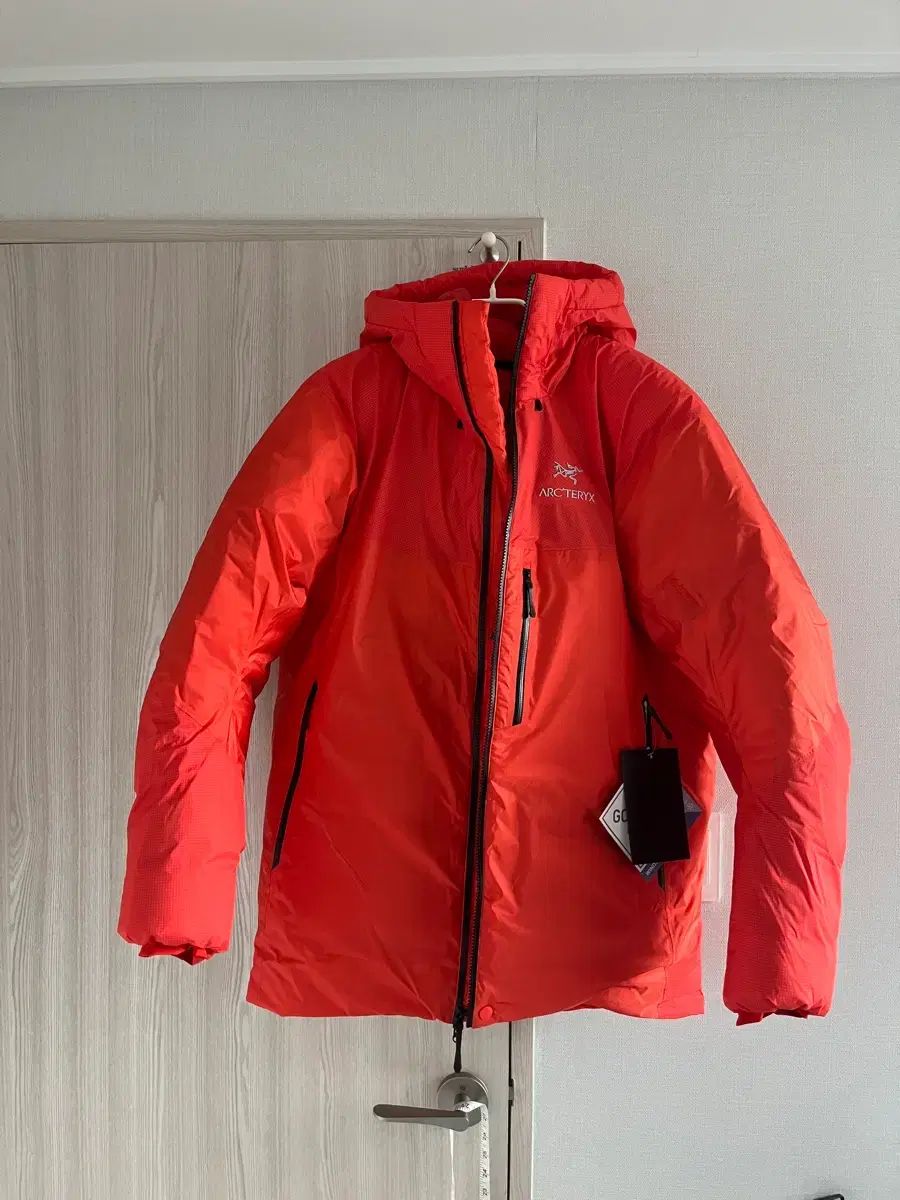 ARC TERYX アルファ パーカ メンズ Large