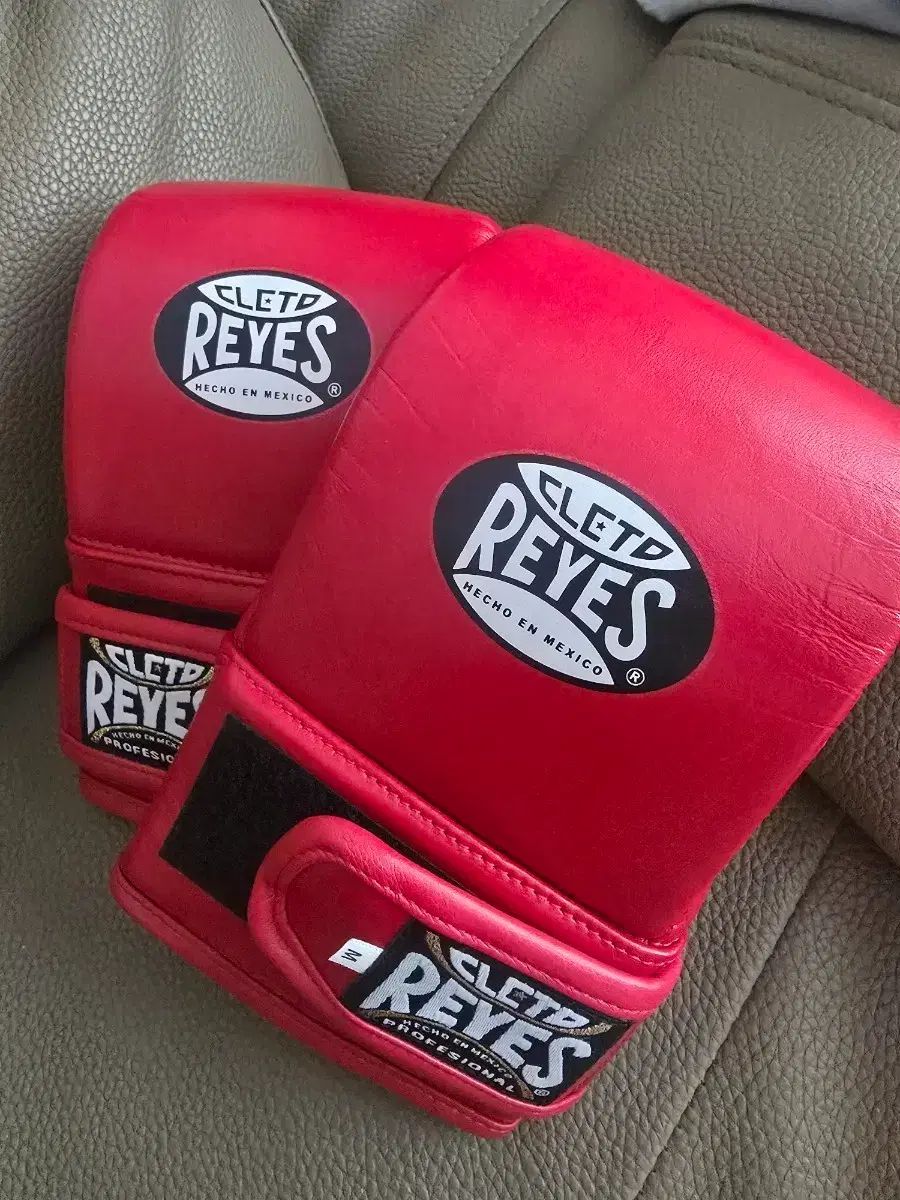 レジェス バックグローブ mサイズ