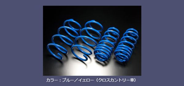 エスペリア/ESPELIR スプリングキット スーパーダウンサス Type-2