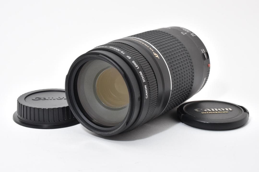 キヤノン EF 75-300 mmf 4-5.6 iii USM 1513