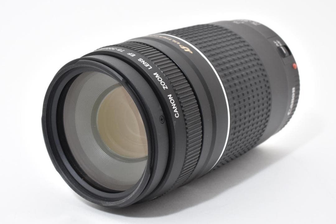 キヤノン EF 75 300 mmf 4 5 6 iii USM 1513