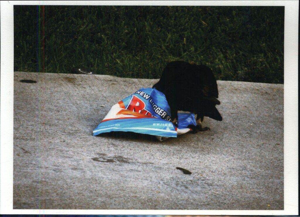  サイン入りプリント付き One Picture Book Two 39 森山大道 Dos サイン入りプリント付 アート デザイン 音楽 本