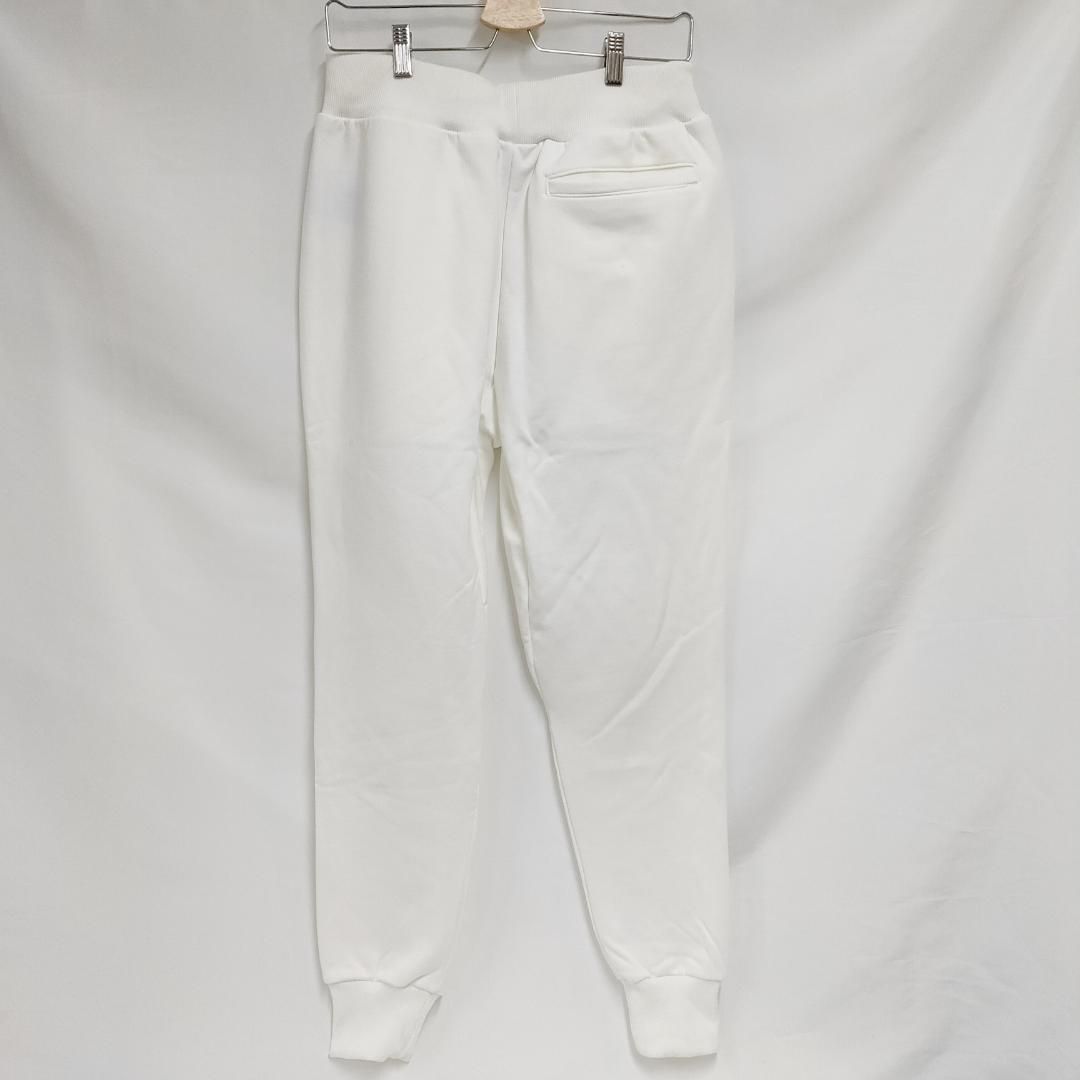 FLASH セットアップ