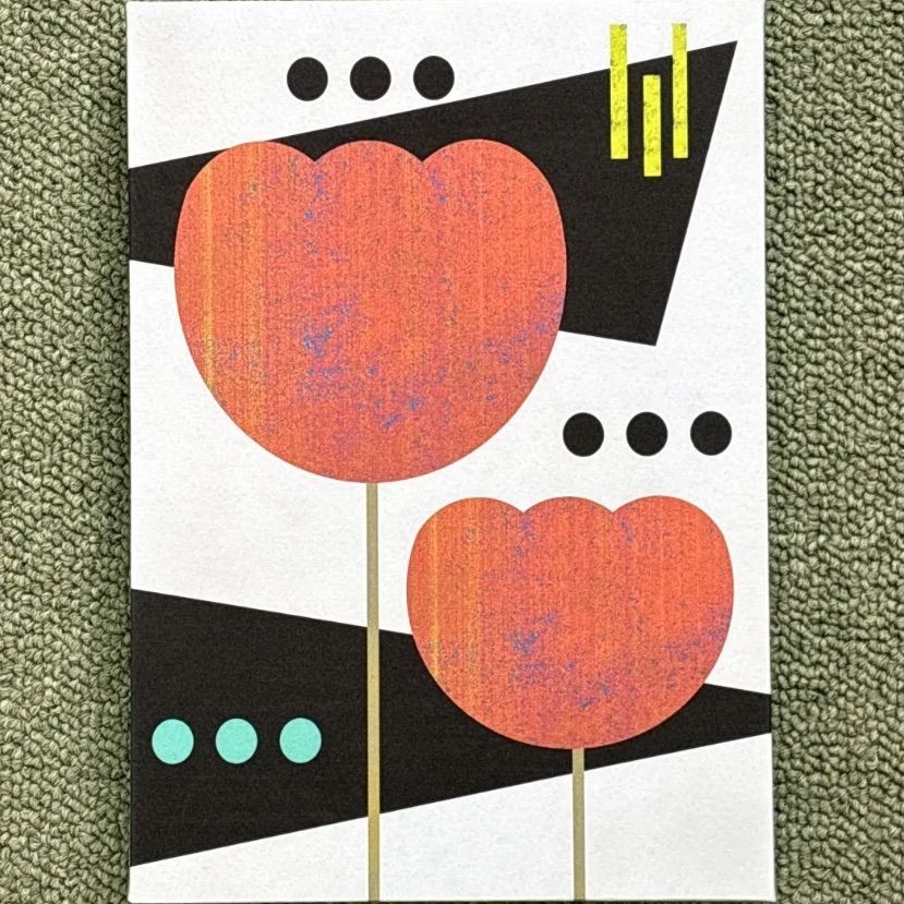 D5160 北魏馮太后 DVD-BOX セット