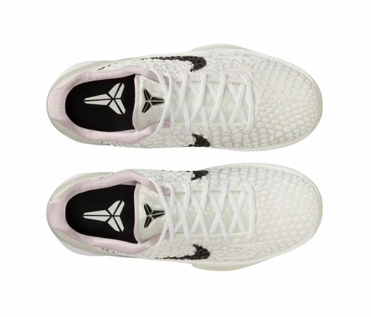 ナイキ コービー6 プロトロ 250 gs