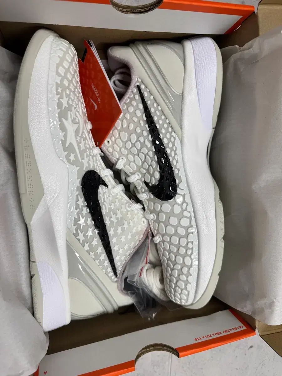 ナイキ コービー6 プロトロ 250 gs