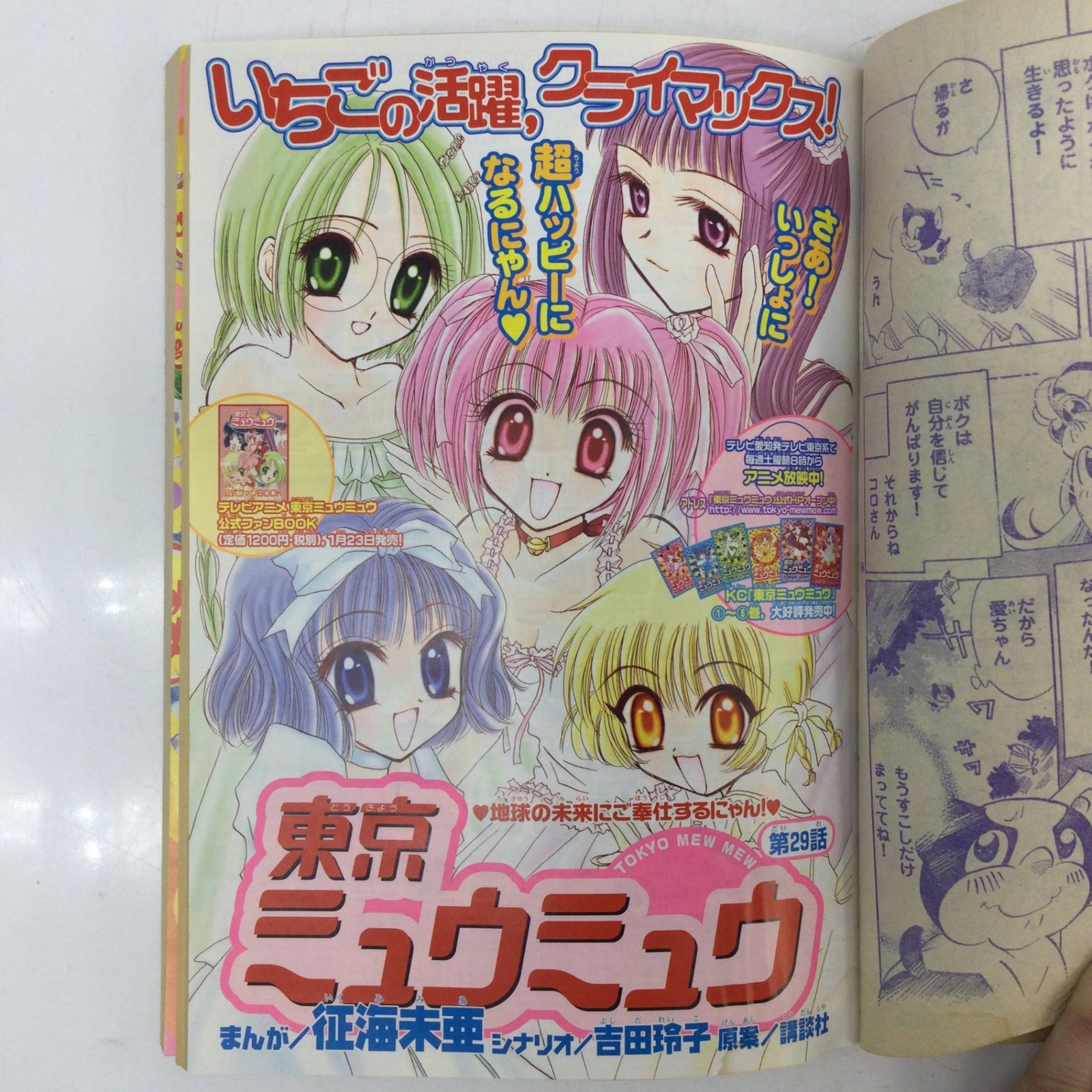 12115 【なかよし】2003年2月号 平成15年2月1日発行 付録無し 講談社