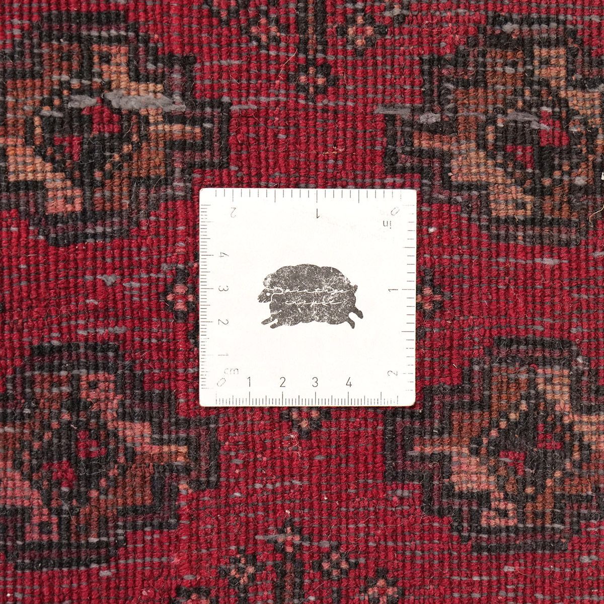 エルサリギュル