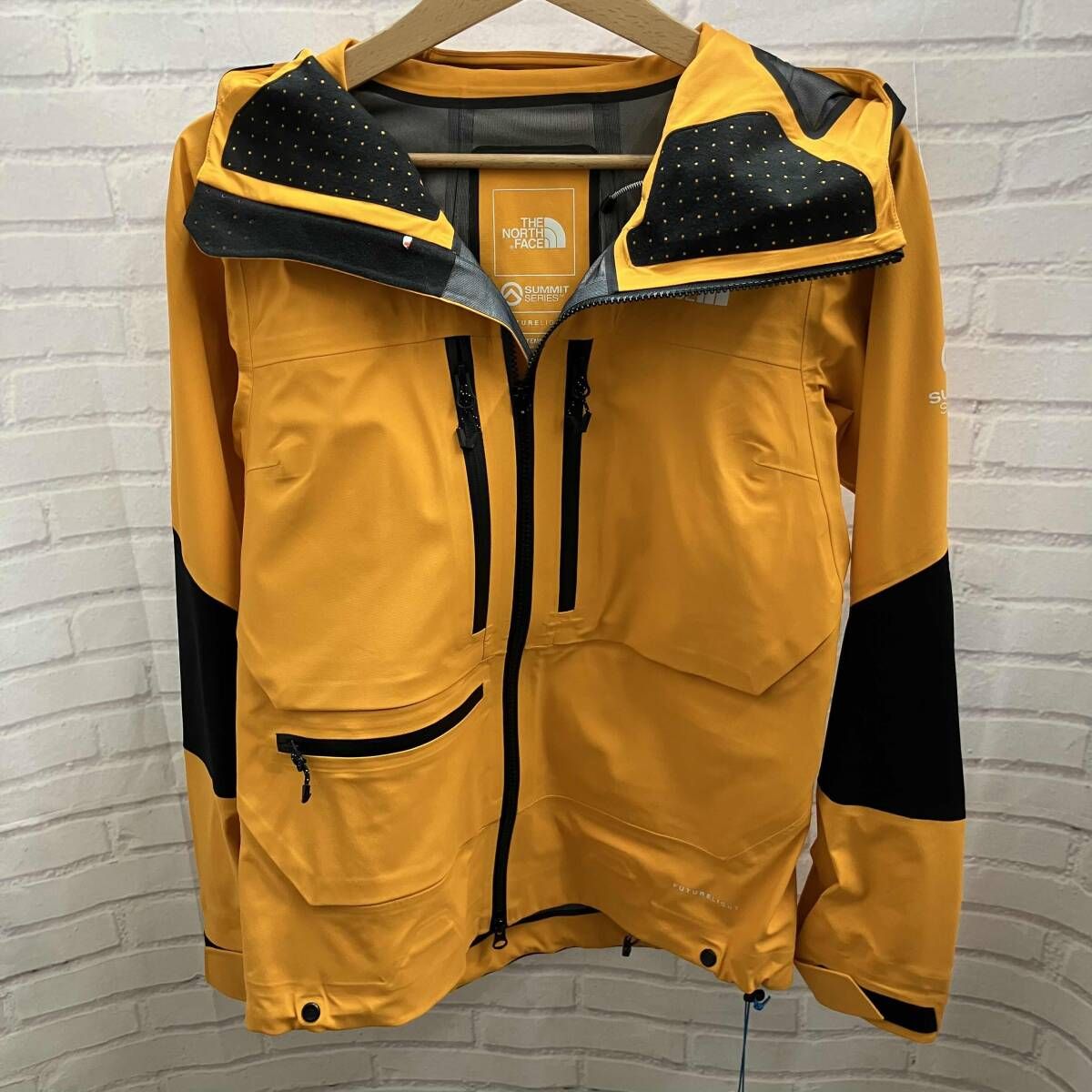 THE NORTH FACE / ザノーサフェイス / マウンテンパーカー / FL L5