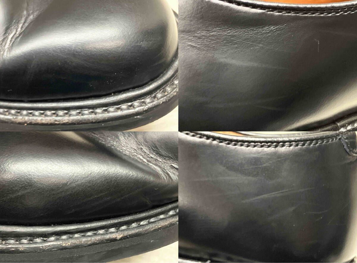 シェットランドフォックス リーガル