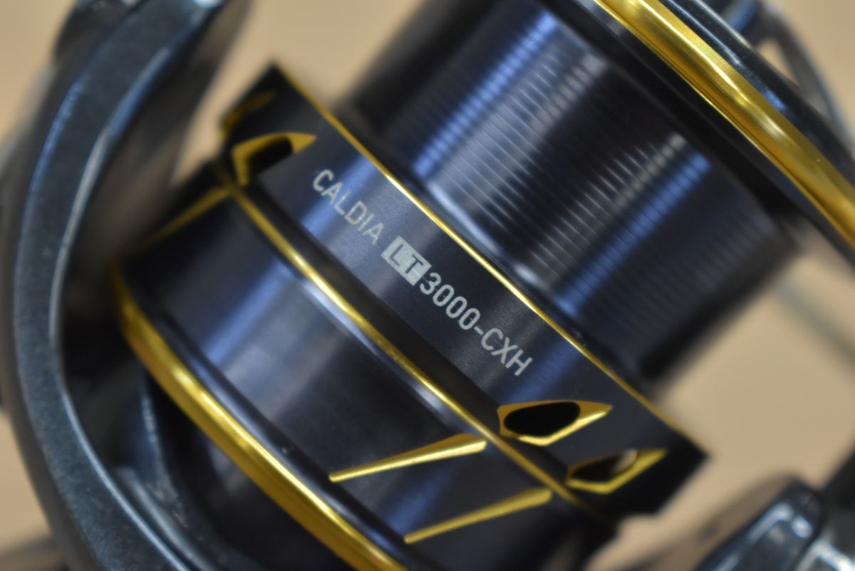ダイワ 21 カルディア LT 3000-CXH スピニングリール DAIWA CALDIA シーバス SLJ エギング 釣り 等に
