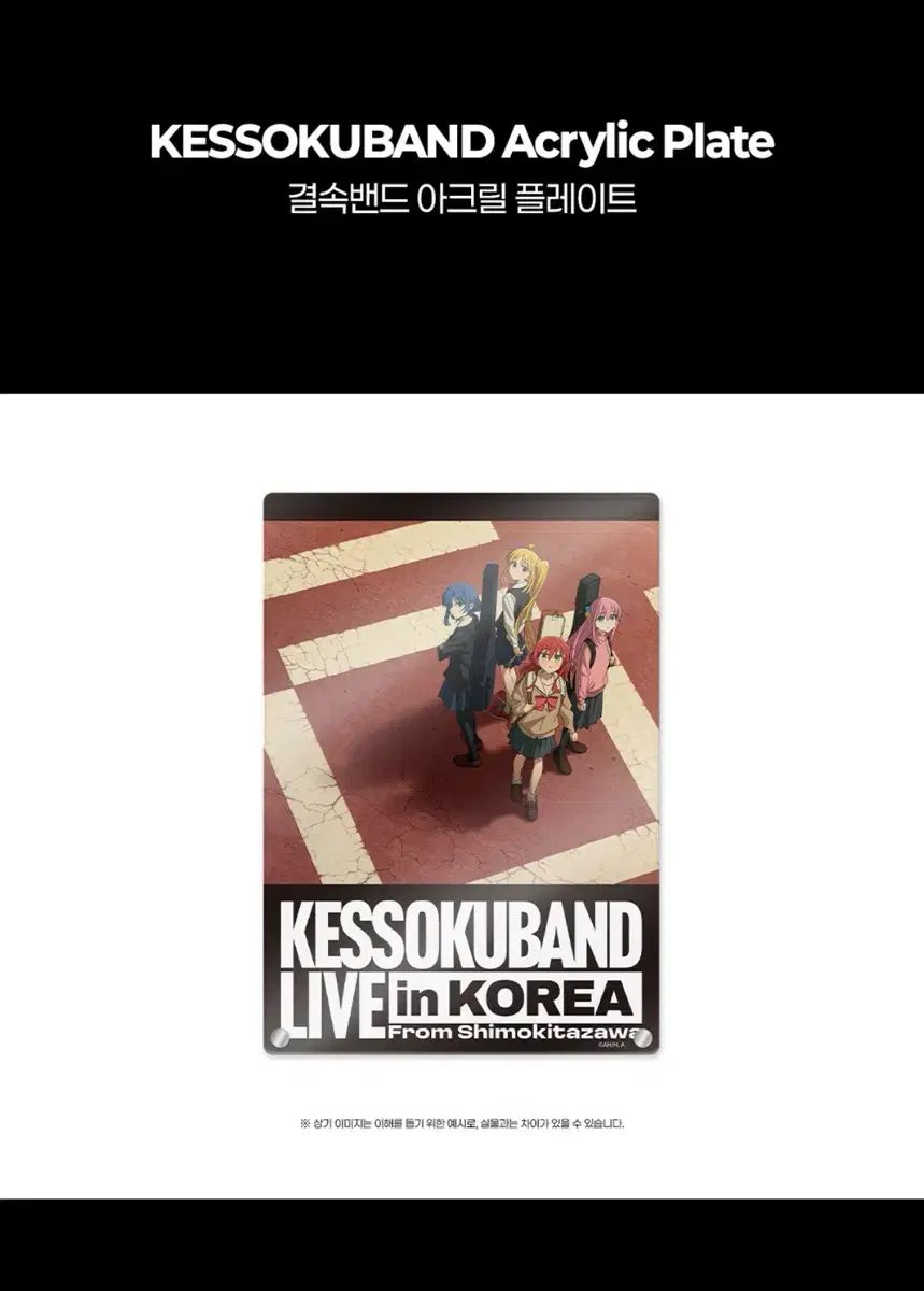 結束バンド来日MD アークス プレート 팝니다