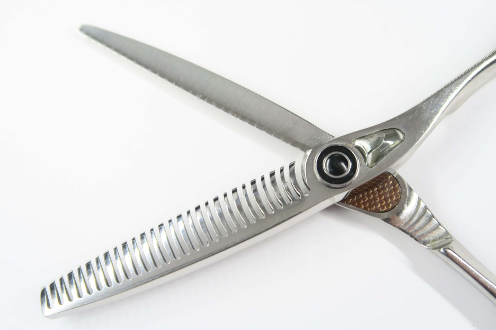 Cランク【トギノン TOGINON】 Queen SUCCESS クイーンサクセス