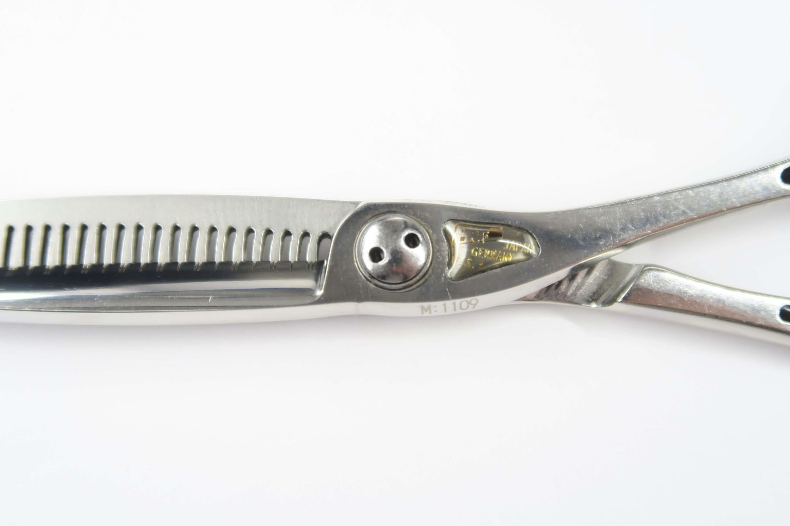 Cランク【トギノン TOGINON】 Queen SUCCESS クイーンサクセス