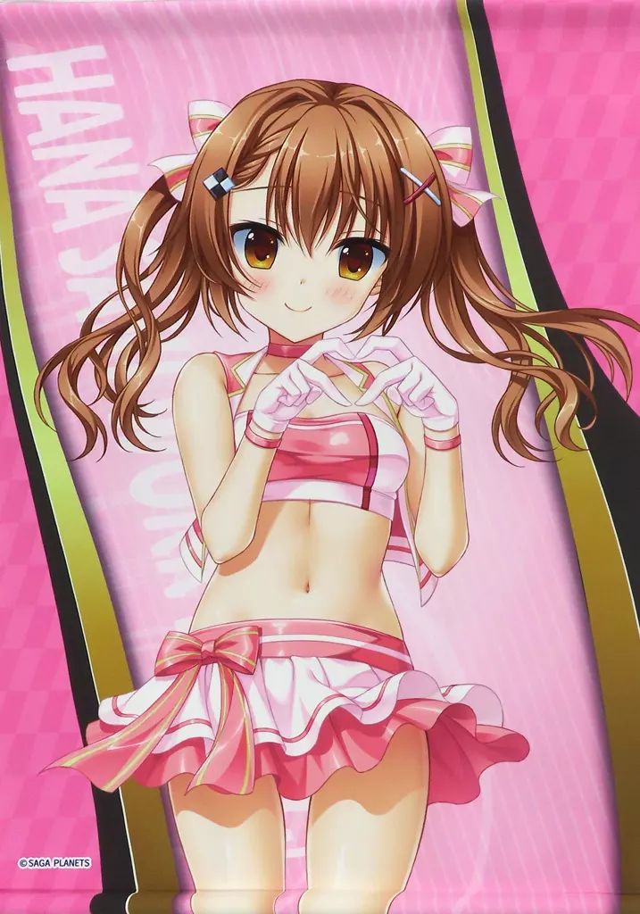 タペストリー 花咲ののか RQver. 描き下ろし A＆J製 B 2タペストリー 花咲ワークスプリング!