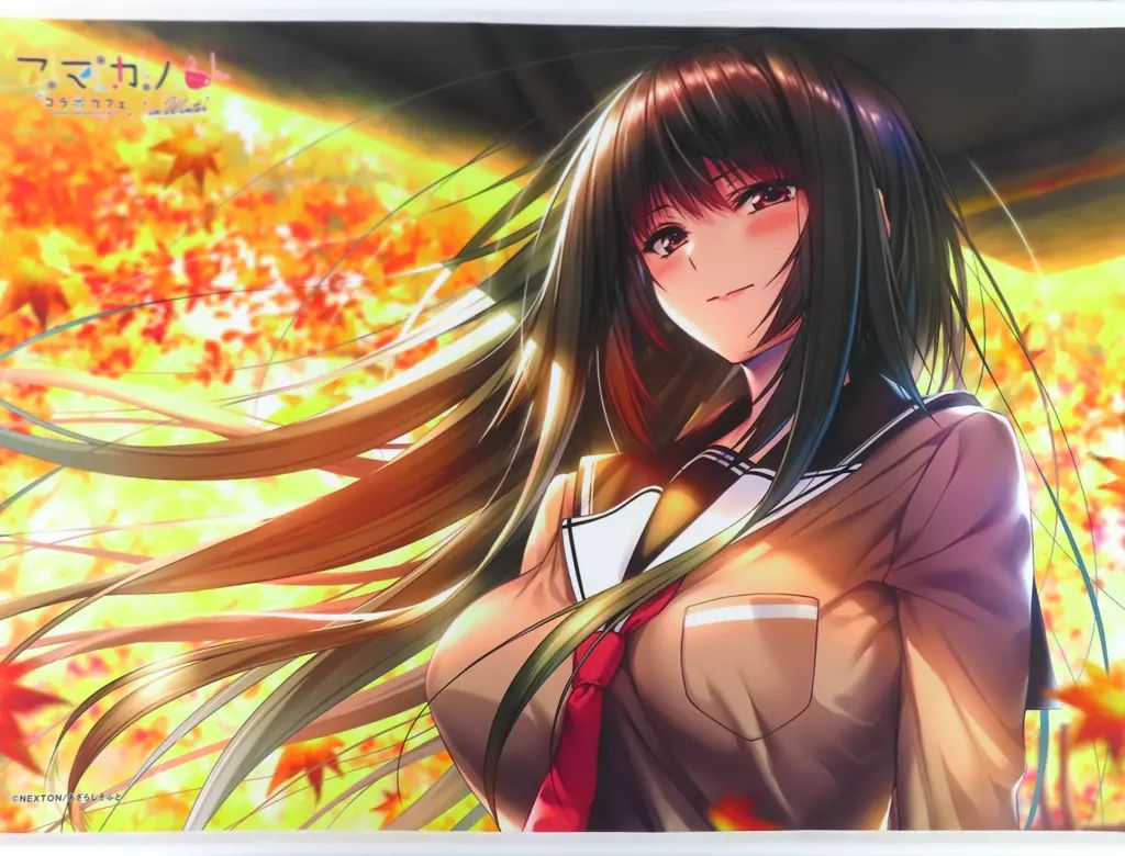 タペストリー 黒姫結灯B B 2タペストリー アマカノコラボカフェ in Winter