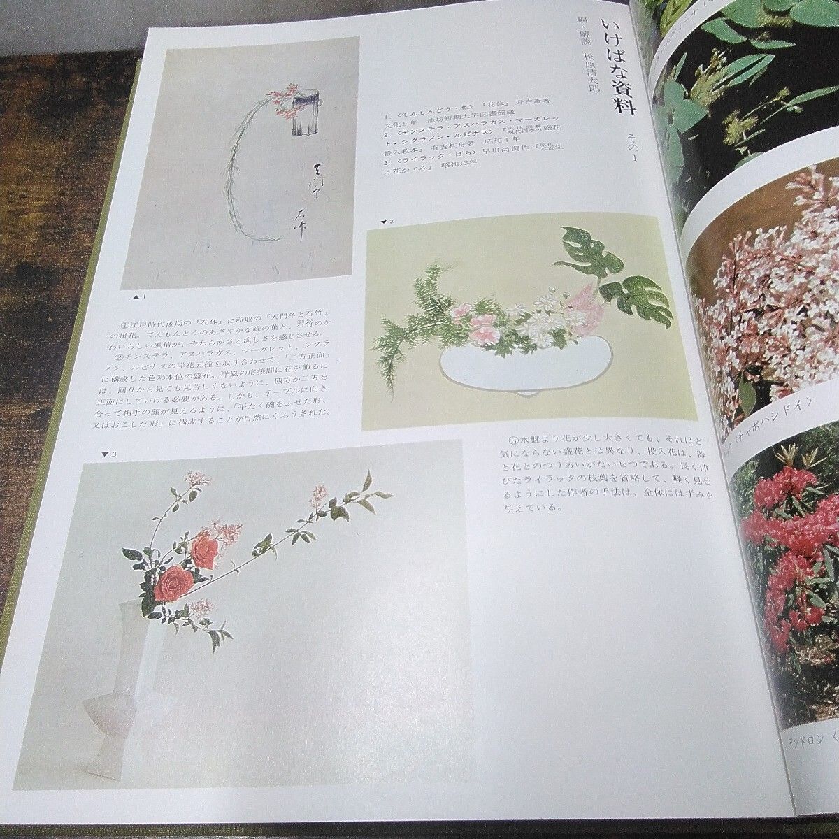 昭和レトロ 主婦の友社 いけばな本 「花材別 現代いけばな芸術全集2 洋