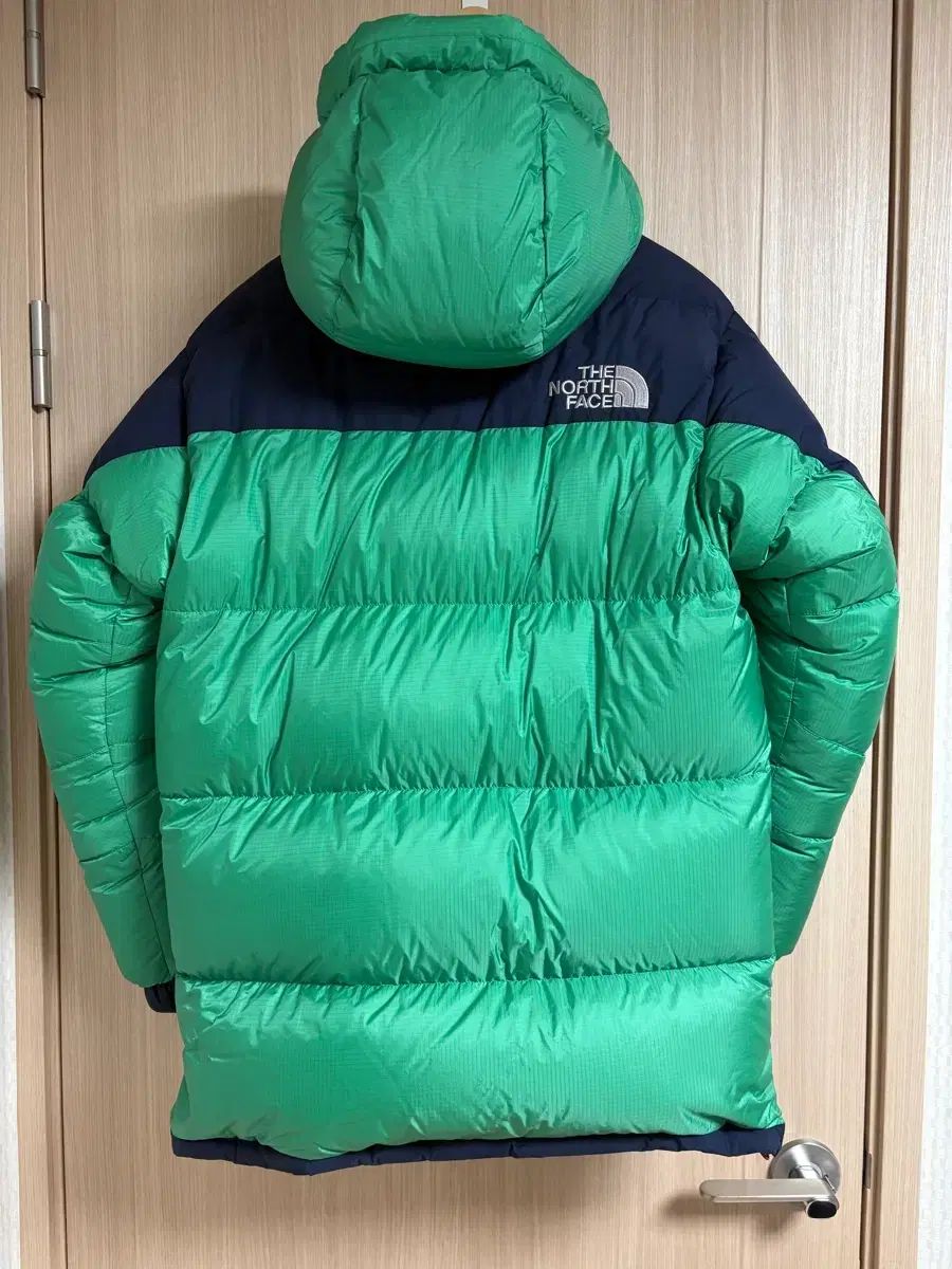 THE NORTH FACE バルトロ M 800 ヘビーグースダウン ダウン