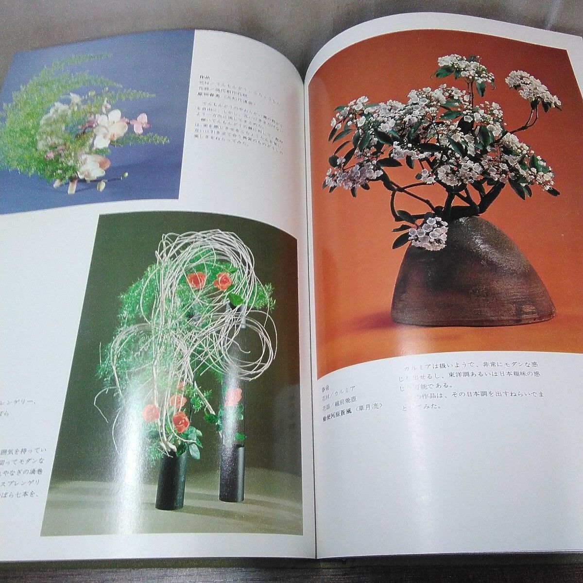 昭和レトロ 主婦の友社 いけばな本 「花材別 現代いけばな芸術全集2 洋