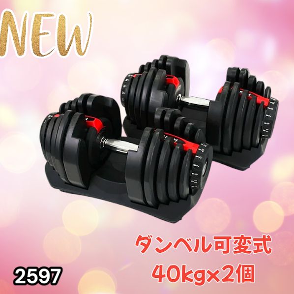 2597 ダンベル 可変式 レッド 40kg 2個 総重量80kg 多機能 5~40kg 17