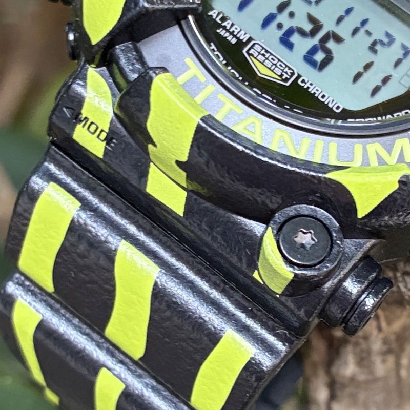 イエロー ミスジヤドクガエル