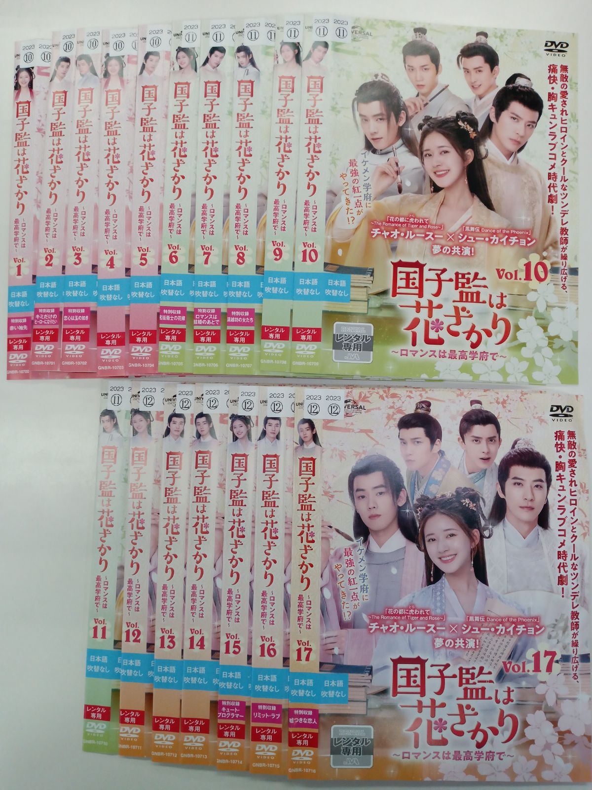 中国ドラマ 国子藍は花ざかり 全17巻セット 日本語吹替なし V 22