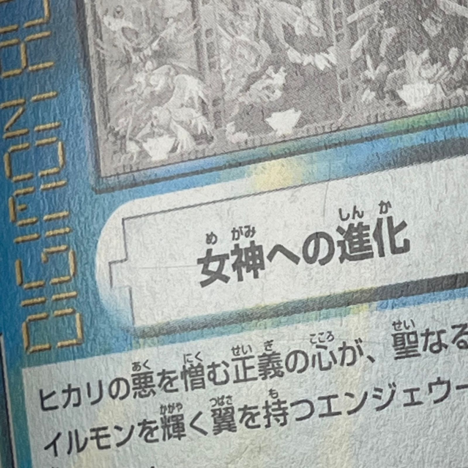デジモンアドベンチャー02 八神ヒカリ エンジェウーモン 女神への進化