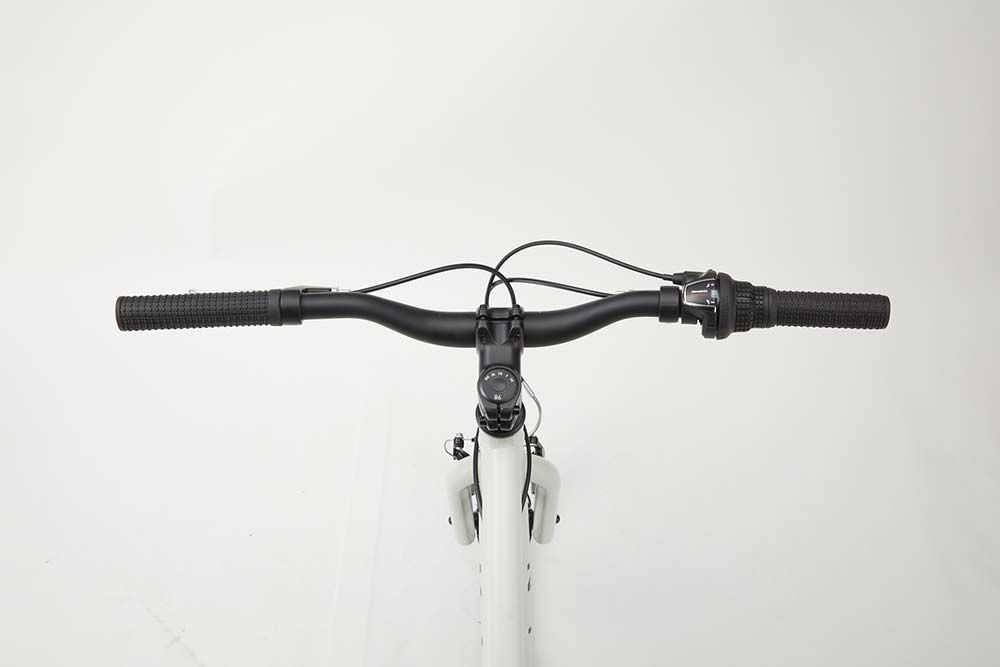 MARIN BIKES DONKY JR22 MATTE MOCHA マリンバイク ドンキージュニア 