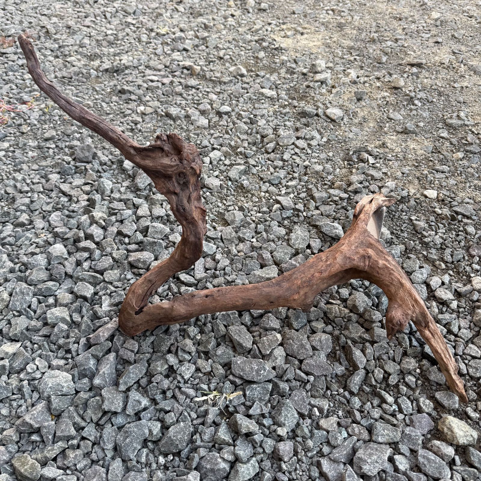 セレクト流木 現物発送 121105