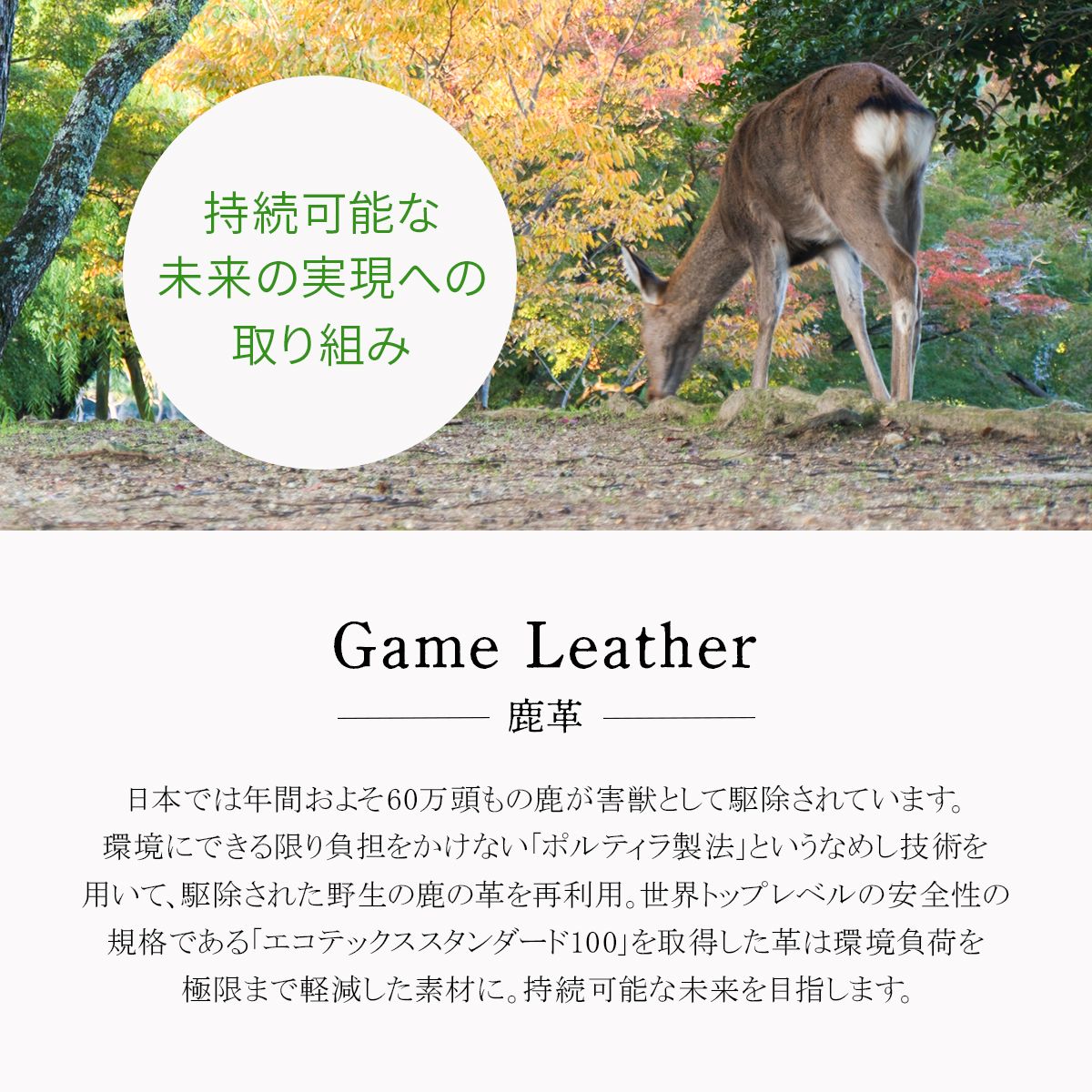 新商品|井野屋|スロウ|ディア|deer|shoulder bag|S|ショルダーバッグ 858 s 82 r