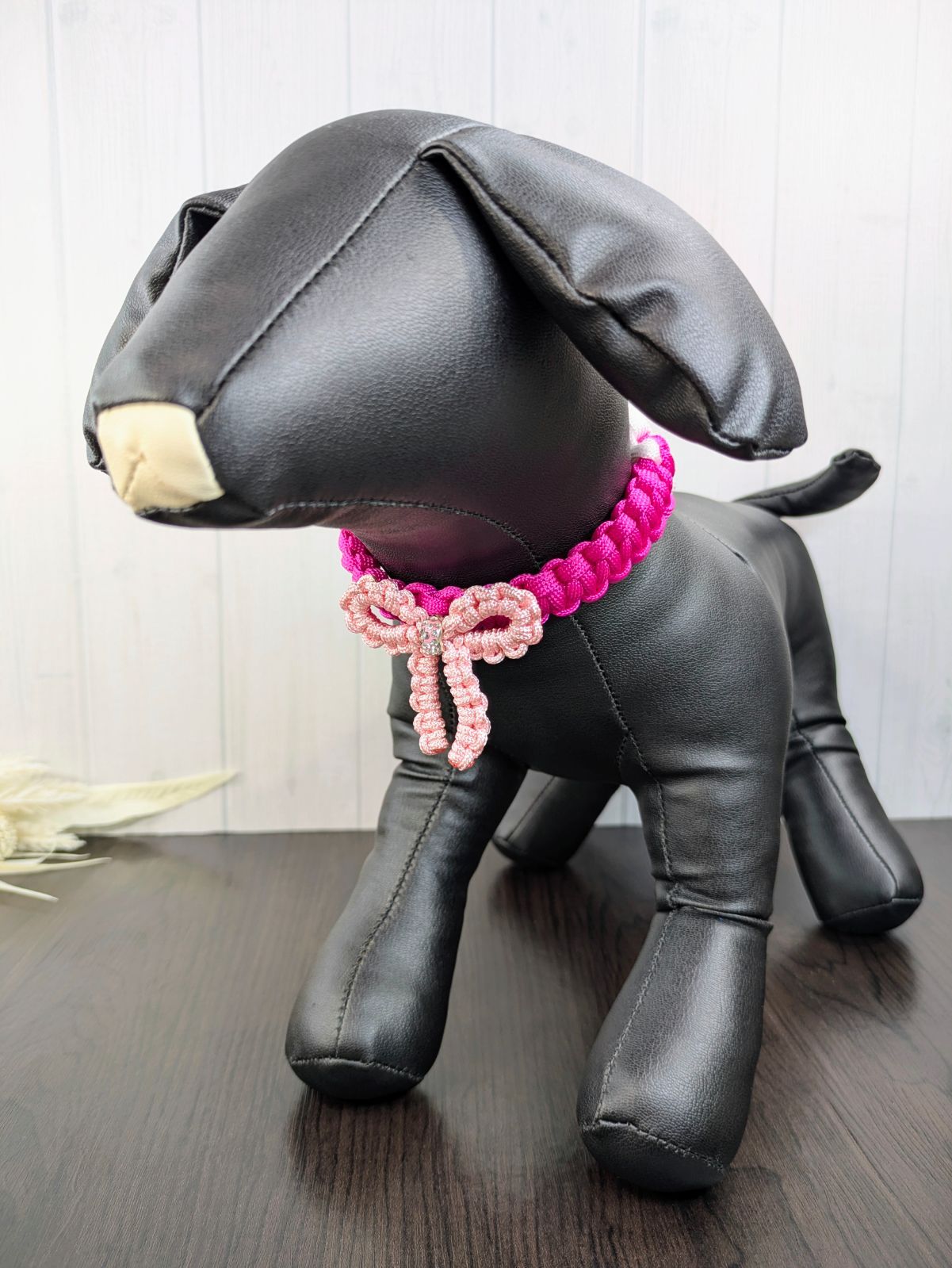 m*u様 ①大きめ苗! そわそわ❣️龍鱗蓮華❣️三日月❣️ちょこん❣️6苗メルカ かぼちゃ様専用ページ - メルカリ