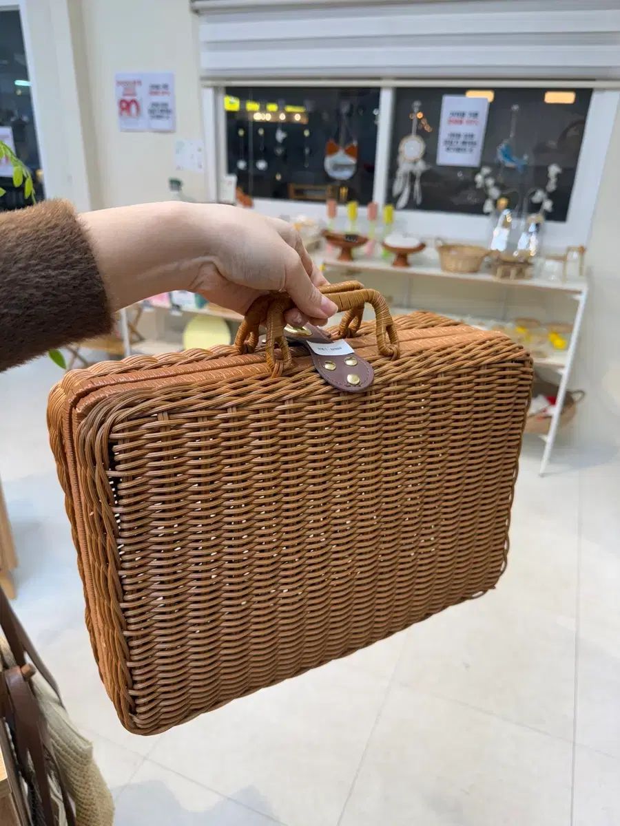 高級品種特別価格セット！ インドネシア多肉 直輸入 プリンス錦