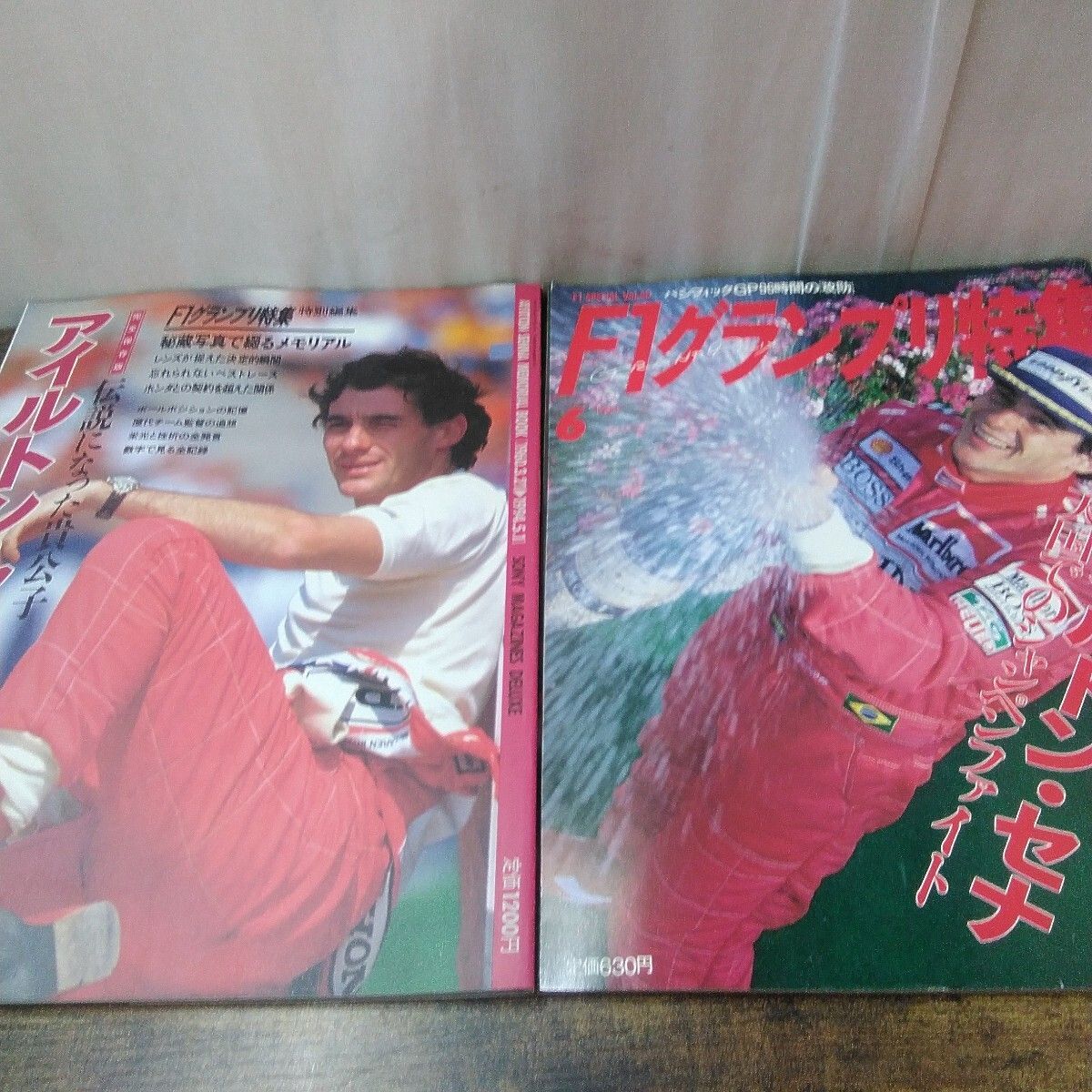 アイルトン・セナ写真集(洋書) 10冊セット！！ アイルトン・セナ 音速の記録』 アイルトン・セナ財団オフィシャル