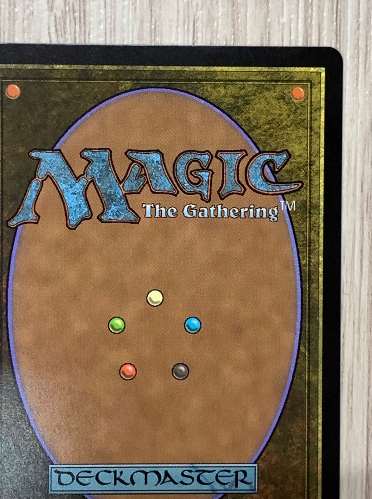 セール中 マジック・ザ・ギャザリング アナグマモグラの仔 M0167 TLA