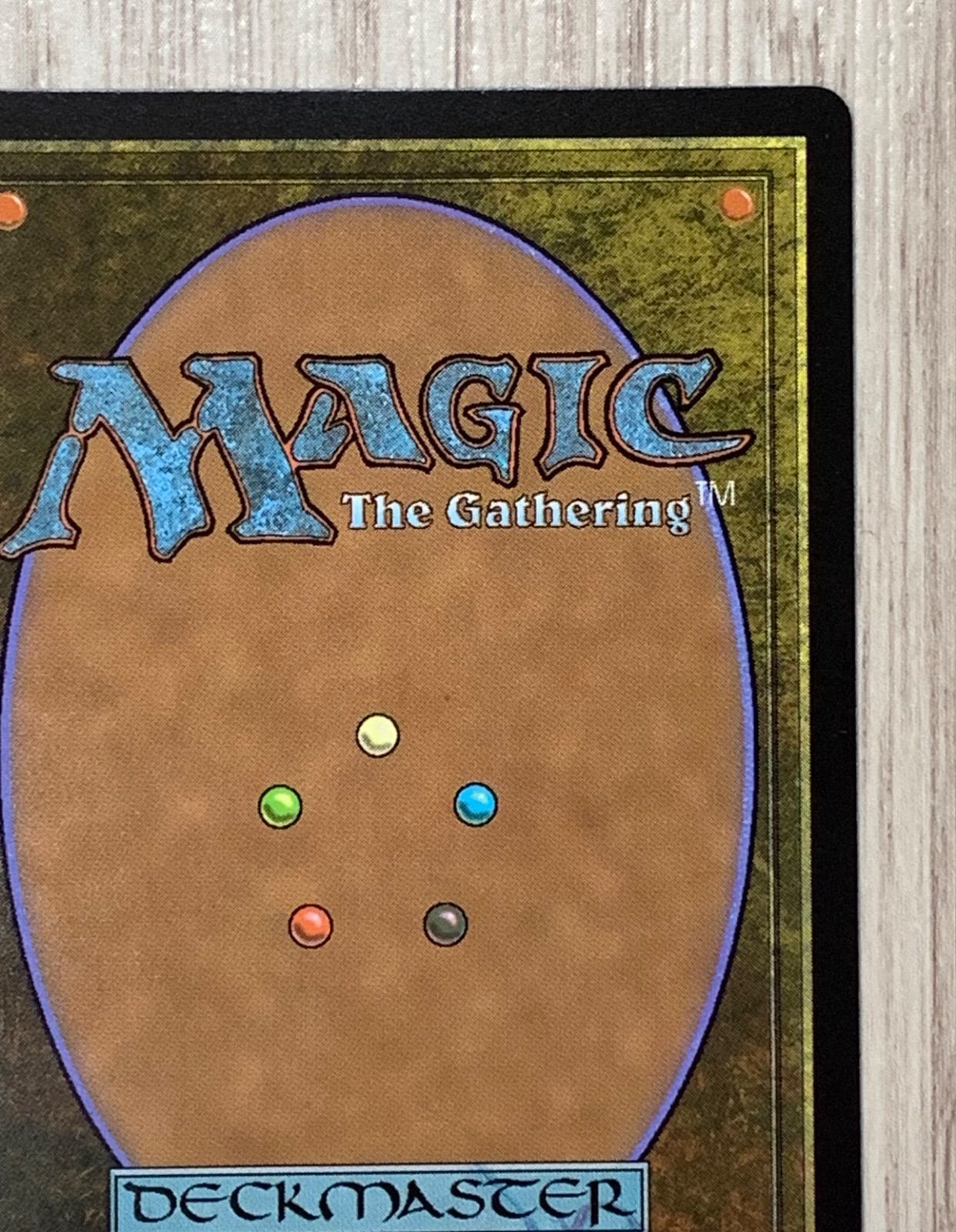 英語版】マジック・ザ・ギャザリング バンヤングローブの木/The Banyan