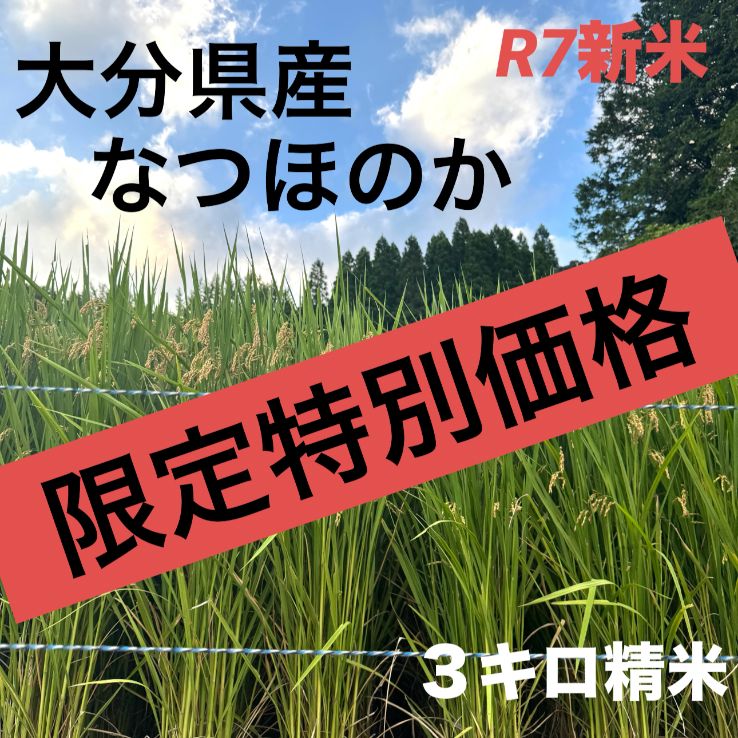 令和7年産新米】大分県産 なつほのか 3kg 農家直送 - メルカリ