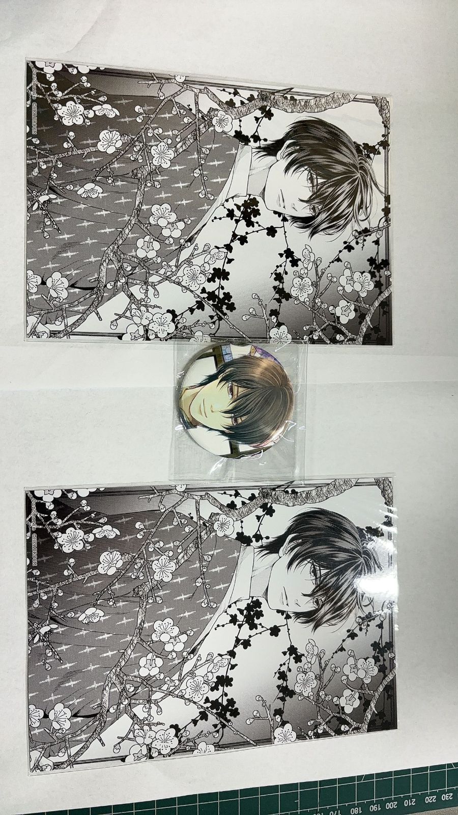 MR-01661 蝶の毒 華の鎖 真島 クラウドファンディング ブロマイド 缶