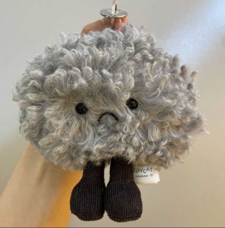 超人気 JELLYCATストームシリーズ ダーククラウドペンダント かわいい　実用