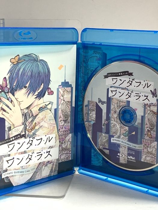 そらる / SORARU Birthday Live 2019 - ワンダフルワンダラス -NexTone